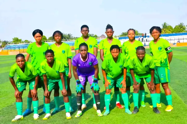 A fan who allegedly assaulted a Plateau United player was put to jail.