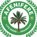 Afenifere accuses foreign interests of fueling the rise in terrorism.
