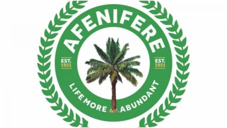 Afenifere accuses foreign interests of fueling the rise in terrorism.