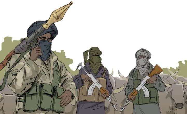 As a new terrorist organization forms in the north, several people are killed.