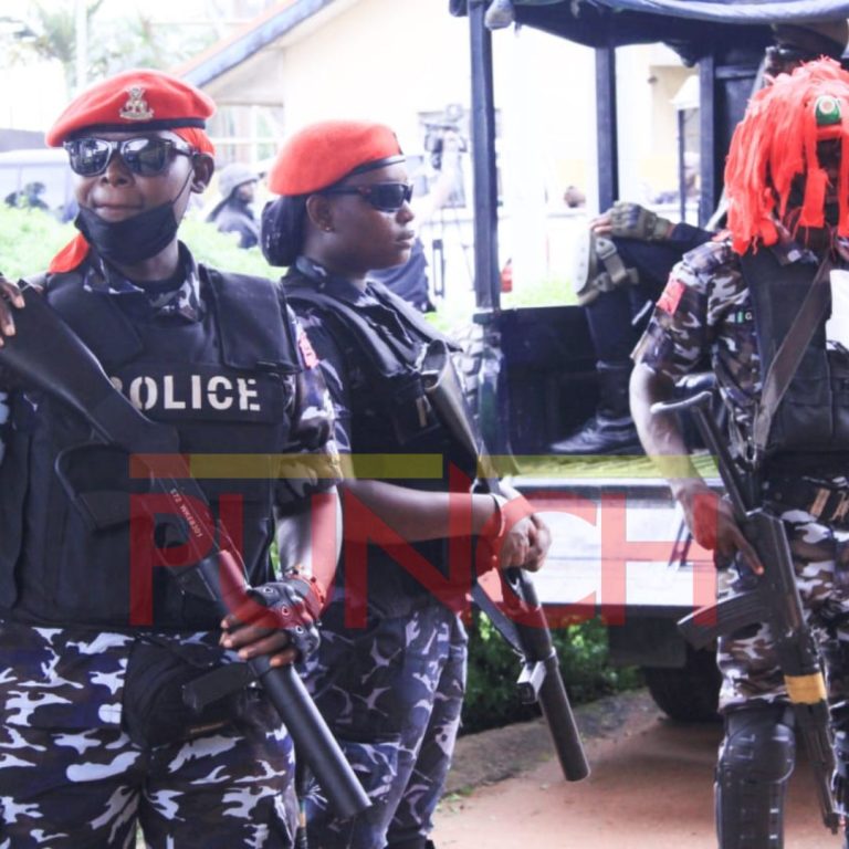 Police in Kano break up a gun smuggling network and confiscate 19 firearms.