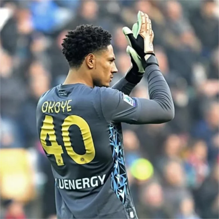 Okoye wants Udinese to break their losing skid in Serie A.