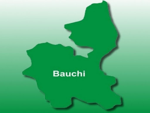 A 12-year-old boy in Bauchi is defiled by a 40-year-old lady.