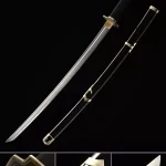 Truekatana Reveals The Legacy of One Piece Swords: Exploring the Most Iconic Blades in the Series