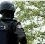 25 wandering cattle are found by police in the Sokoto forest.