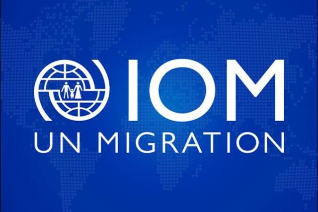 IOM report: 83.4 million people displaced worldwide
