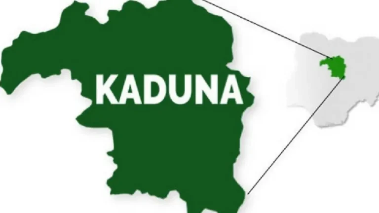 The Kaduna government denies the appointment list in circulation, claiming it was purposefully leaked to create confusion.