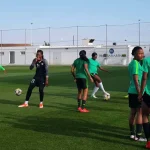 Ikenne, Abeokuta to host Super Falcons, Cameroon friendlies
