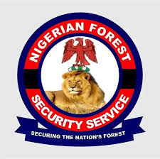 The Forest Security Service promises to combat bandits and honors six.