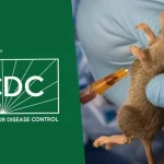 As cases increase, the Lassa fever death rate rises – NCDC