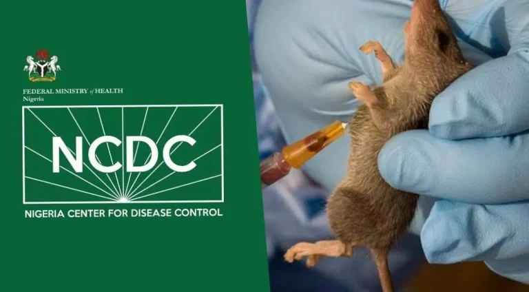 As cases increase, the Lassa fever death rate rises – NCDC