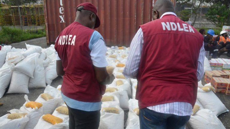 In Abia, the NDLEA apprehends 222 suspects and confiscates 1.09 million kg of illegal drugs.