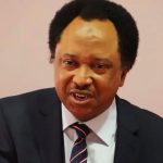 Shehu Sani says opposition is motivated by resentment rather than the general welfare.