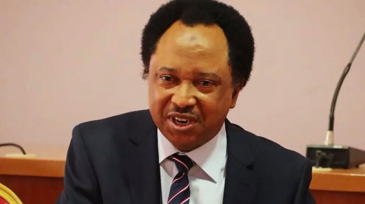 Shehu Sani says opposition is motivated by resentment rather than the general welfare.