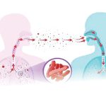 The Global Fund reports that more than 50,000 Nigerians have tested positive for tuberculosis.