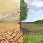 Climate emergency: Experts warn that Nigeria’s biodiversity is under grave danger