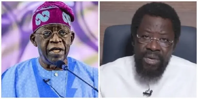 Speaking under Tinubu is becoming more and more risky—Dele Farotimi