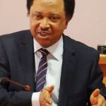 Shehu Sani: Atiku, El-Rufai, Amaechi, and others are angry at being left out.
