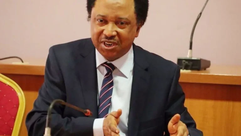 Shehu Sani: Atiku, El-Rufai, Amaechi, and others are angry at being left out.