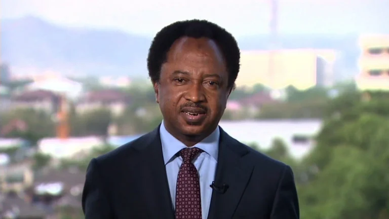 2027: Shehu Sani encourages the PDP, LP, and others to “get your houses in order and stop accusing Tinubu.”