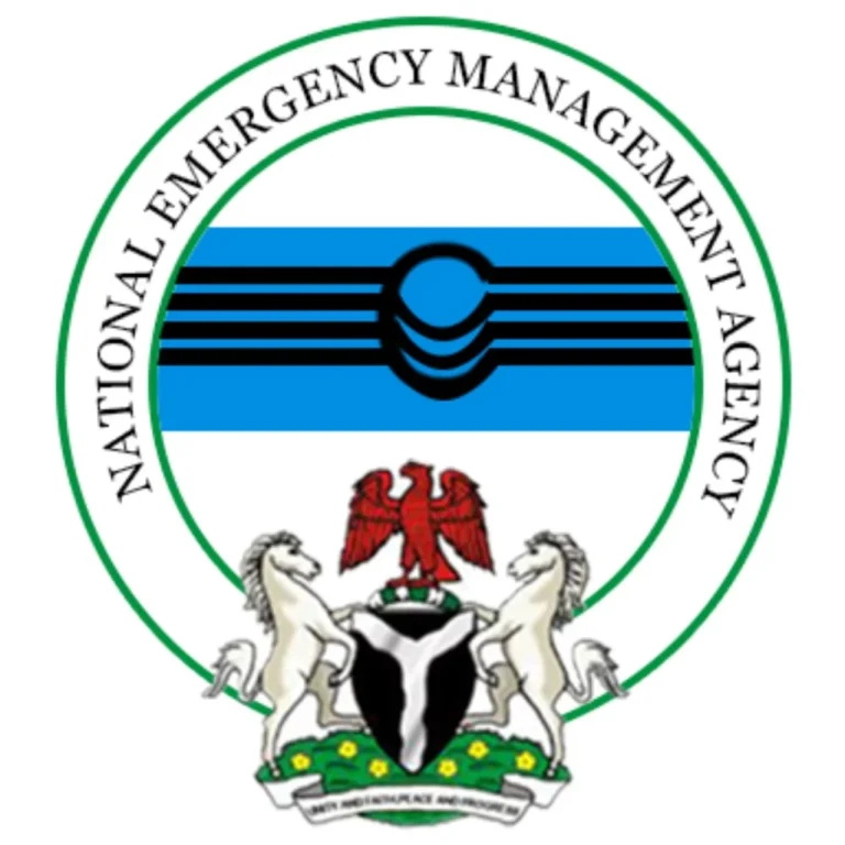 Lakurawa: Coordinated Sokoto attacks resulted in the displacement of over 500 homes and the deaths of 15 people — NEMA