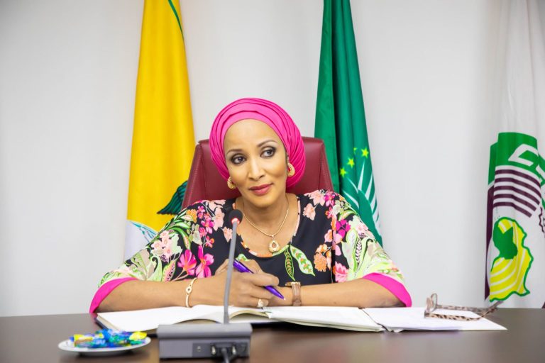 Odumegwu-Ojukwu: Nigeria is dedicated to promoting democracy in Africa