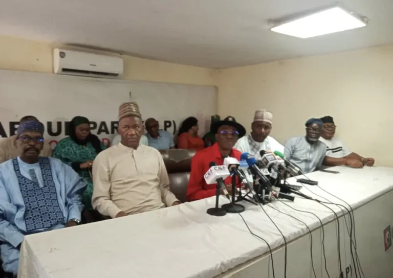 Why I went to the conference led by Abure: Datti Baba-Ahmed