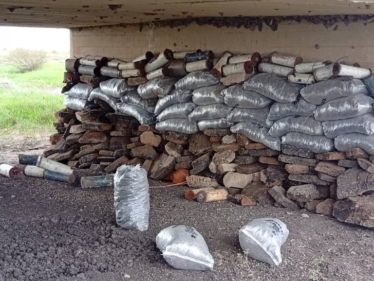 56 explosive devices are recovered by troops in Borno.