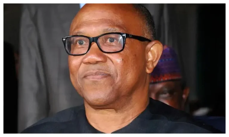 2027: Labour Party Secretary: Peter Obi might not be able to run as our candidate