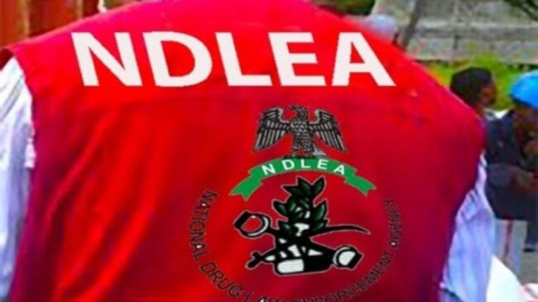 NDLEA reports that over 3 million people use drugs in the North-West.