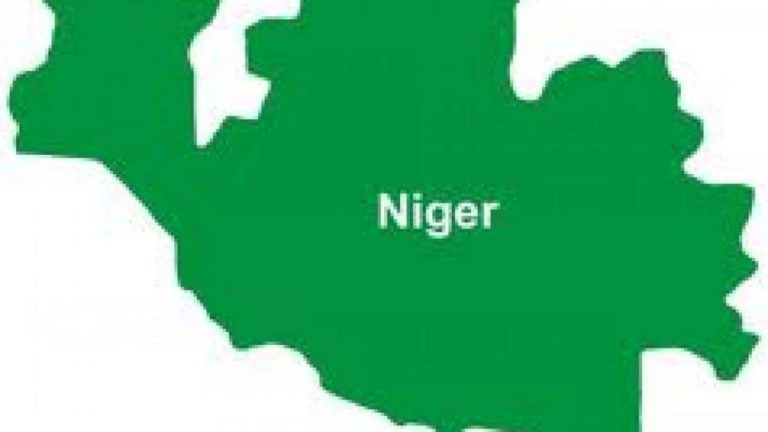 Insecurity: A security summit will be held at Kontagora Emirate