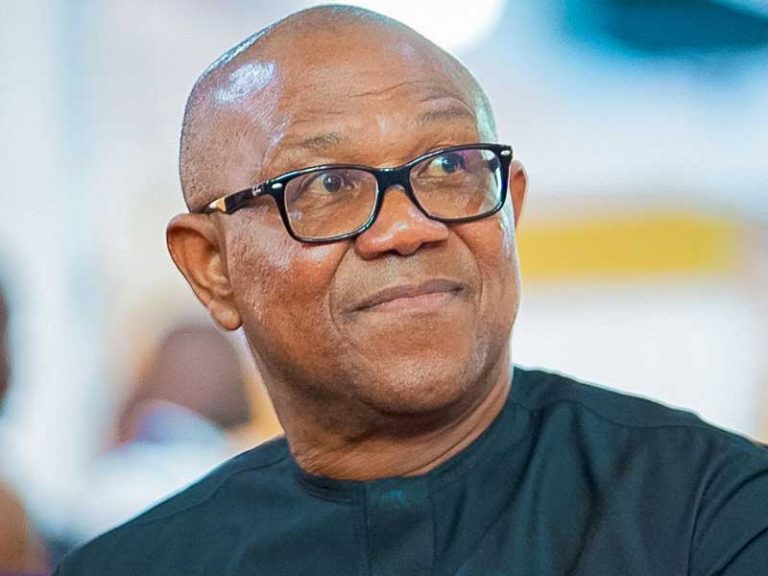 Saint Lucia: “Anambra’s future was not planned by you” — An aide to Tinubu blasts Peter
