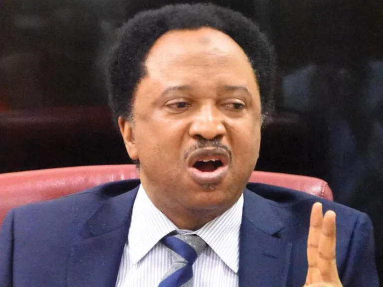 Shehu Sani counsels Elon Musk to distance himself from Trump and American politics and reestablish ties with South Africa.