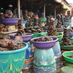 Wema Bank and the Fisheries Union will increase fish production.