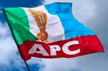The APC tells Marafa that since you haven’t recovered from the loss, you can’t sway Tinubu’s votes.