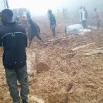 A group criticizes the N95 billion Bali–Serti–Gembu road project’s delays.