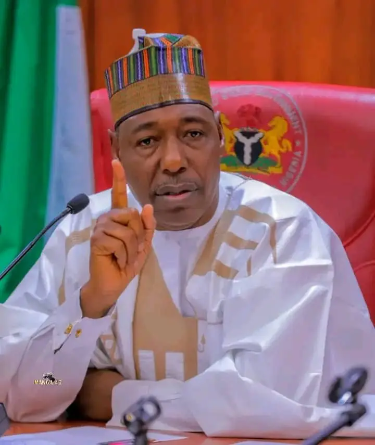 Zulum brings the governors of N’East to Tinubu and demands that 17 roads be completed immediately and that oil be explored.
