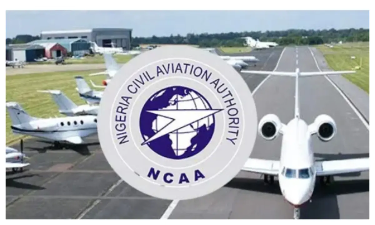 The Nigerian government has summoned airlines due to unruly passengers and flight disruptions.