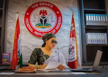 ‘Double standards’: Lawyer criticizes Nigerian Senate for Natasha’s suspension