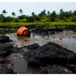 Microbiologists promote microbial remedies for food security and oil spills.