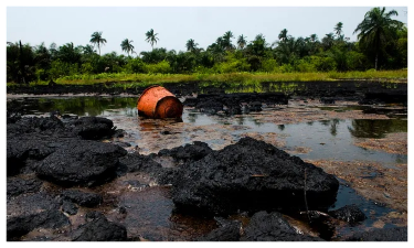 Microbiologists promote microbial remedies for food security and oil spills.