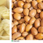 A 50-ton shea butter factory will be put into operation in Kwara.