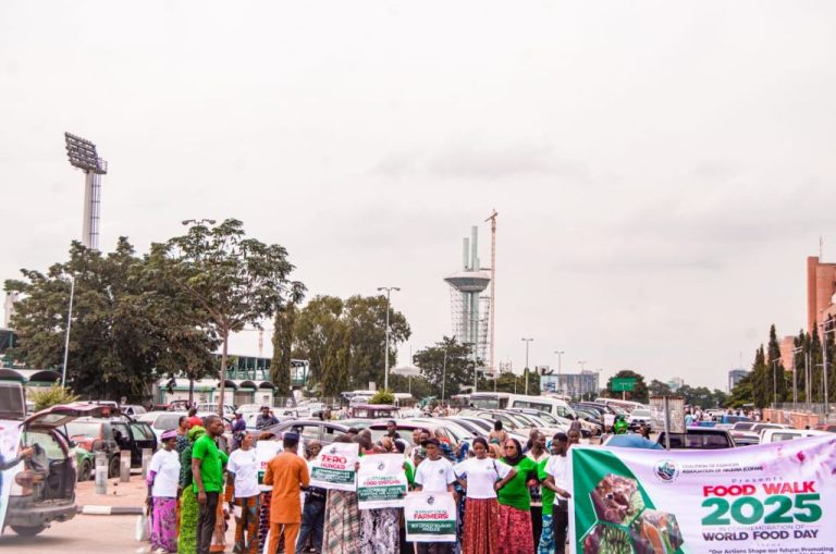Experts say that sustainable systems and nutritious diets are essential to Nigeria’s food security.