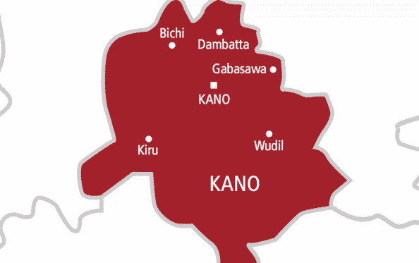 Gandu Albasa: A Center for the Kano Furniture Industry with 5,000 Youth Employment