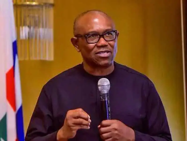 2027: INEC must verify certificates of Tinubu, governors, others – Peter Obi