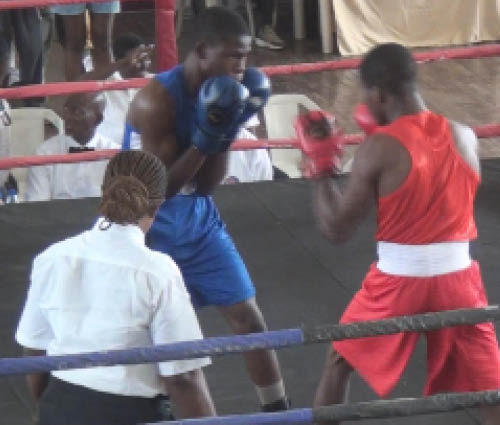 The Revived Lagos Boxing Championship Has Winners