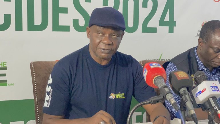 New INEC Chairman must resist political pressure – Nwagwu
