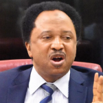 APC-collaborating senators from the United PDP, LP, APGA, SDP, and NNPP—Shehu Sani