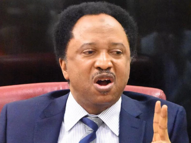 APC-collaborating senators from the United PDP, LP, APGA, SDP, and NNPP—Shehu Sani
