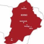 Borno elders: We are victims of genocide, not its perpetrators.